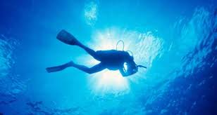 Image result for Torbay Sub-Aqua Club