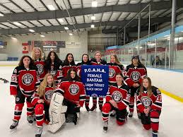 Image result for Widnes Ladies Hockey Club