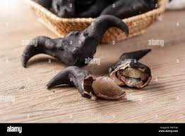 Attēlu rezultāti vaicājumam “Trapa natans”