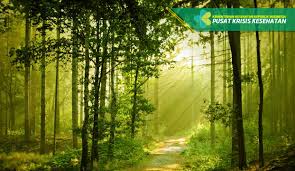 Image result for pemanasan global