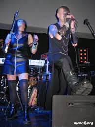 Image result for pheega