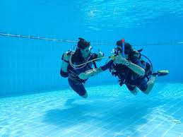 Image result for Southdown Divers