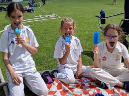 Image result for Park Hill Cricket Club