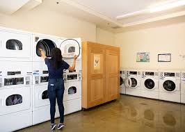 Image result for U3A Birkdale SG