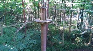 Image result for Go Ape! Leeds Castle