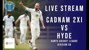 Image result for Redlynch and Hale Cricket Club
