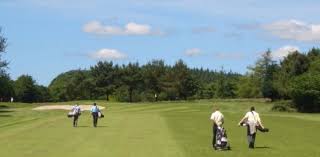 Image result for Launceston Golf Club