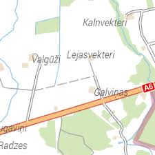 Attēlu rezultāti vaicājumam “Magdalis sp.”