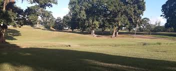 Image result for Brechin Golf Club