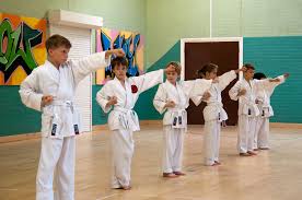 Image result for North Yorkshire Goju Ryu Karate Club