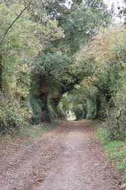 Image result for Nottingham and Derby Walking Group