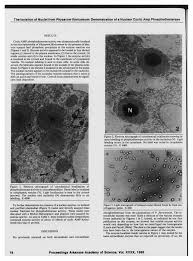 Attēlu rezultāti vaicājumam “Physarum flavicomum”