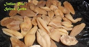 Attēlu rezultāti vaicājumam “Colchicum luteum”