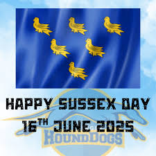 Image result for Sussex Thunder