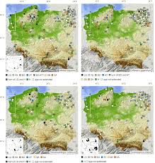 Attēlu rezultāti vaicājumam “Tomentypnum nitens”