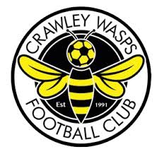 Image result for Wasps Football Club