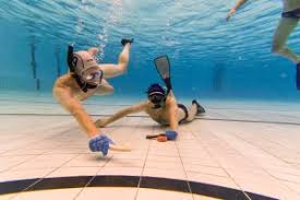 Image result for TAROT Octopush Club