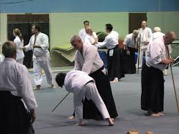 Image result for Bakewell Aikido Club