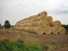 Now that straw burning is taboo and that keeping cattle is becoming focused - via Daymix