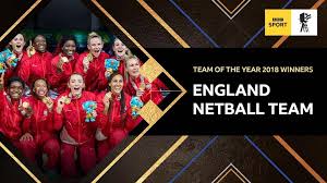 Image result for Huddersfield Giants Netball Club