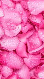 Image result for розовые обои