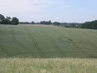 Crop Circles? More easily explained patterns in a field of wheat in the - via Daymix