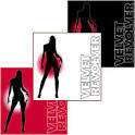 Contraband Velvet Revolver