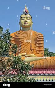 Image result for Buddha Maligavilla Srilanka