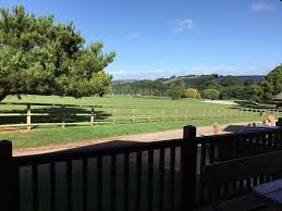 Image result for Fingle Glen Golf Club