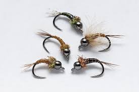 Attēlu rezultāti vaicājumam “nymph”