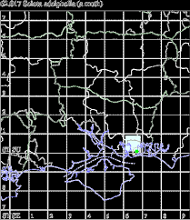 Attēlu rezultāti vaicājumam “Sciota adelphella”