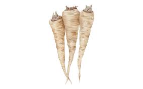 Image result for Pastinake