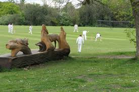 Image result for Frensham Cricket Club