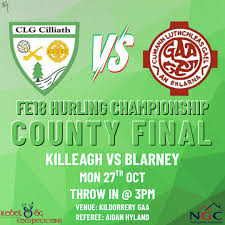 Image result for Killeagh Gaa