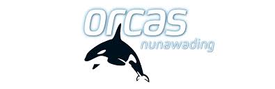 Image result for Ilfracombe Orcas Octopush Club