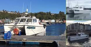 Image result for Iom Aquaholics