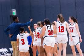 Image result for Sport St Mary's Badminton Club