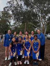 Image result for Waverley Netball Club