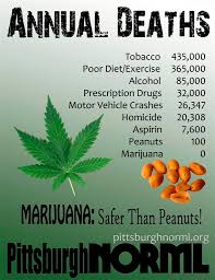 images?q=tbn:ANd9GcS9toBtHaB_krIcw6ayQlMpr_1d-t3nR_yFsmngHB3ylA6tKhXWlg