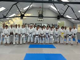 Image result for MO-ICHIDO