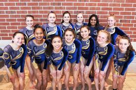 Image result for Arabian School Of Gymnastics