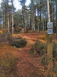 Image result for Inverness Orienteering Club
