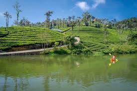 Image result for Wild Water Planet