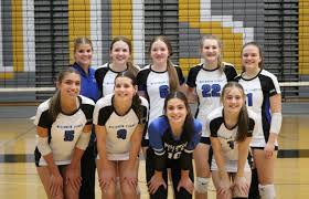Image result for British Airways Volleyball Club