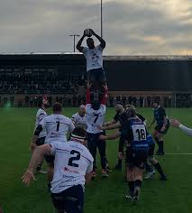 Image result for Dings Crusaders Rugby Football Club