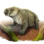 Attēlu rezultāti vaicājumam “Diderma roanense”