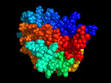 250px-Erythropoietin.png