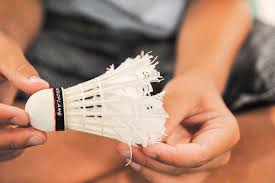 Image result for Swinton Travellers Badminton Club