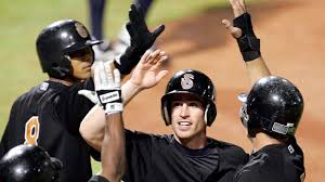 Image result for Sidewinders Baseball Club