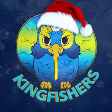 Image result for Kingfishers Netball Club